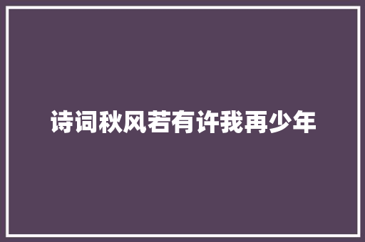 诗词秋风若有许我再少年