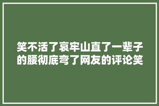 笑不活了哀牢山直了一辈子的腰彻底弯了网友的评论笑去世我了