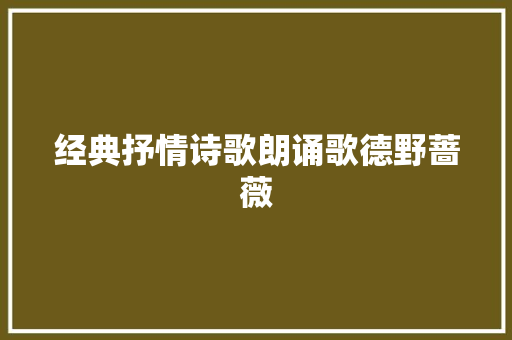 经典抒情诗歌朗诵歌德野蔷薇
