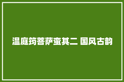 温庭筠菩萨蛮其二 国风古韵