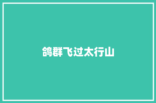 鸽群飞过太行山