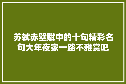 苏轼赤壁赋中的十句精彩名句大年夜家一路不雅赏吧