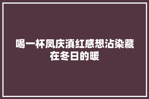 喝一杯凤庆滇红感想沾染藏在冬日的暖