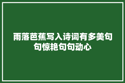 雨落芭蕉写入诗词有多美句句惊艳句句动心