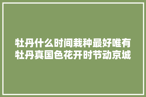 牡丹什么时间栽种最好唯有牡丹真国色花开时节动京城