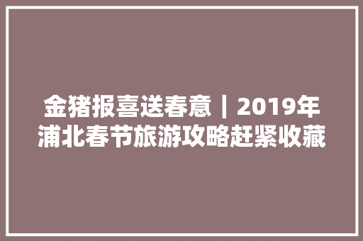 金猪报喜送春意｜2019年浦北春节旅游攻略赶紧收藏吧