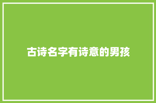 古诗名字有诗意的男孩