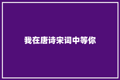 我在唐诗宋词中等你