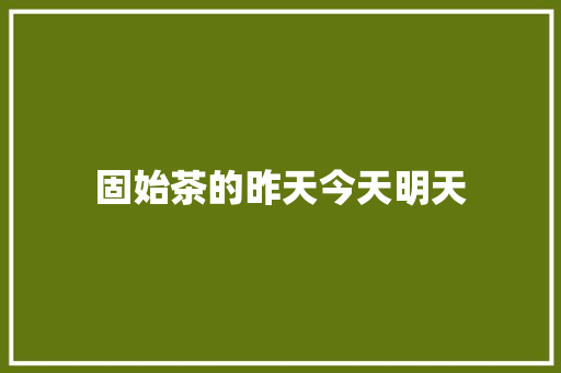 固始茶的昨天今天明天