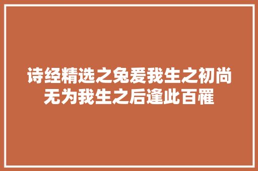 诗经精选之兔爰我生之初尚无为我生之后逢此百罹