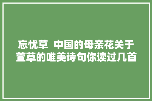 忘忧草  中国的母亲花关于萱草的唯美诗句你读过几首