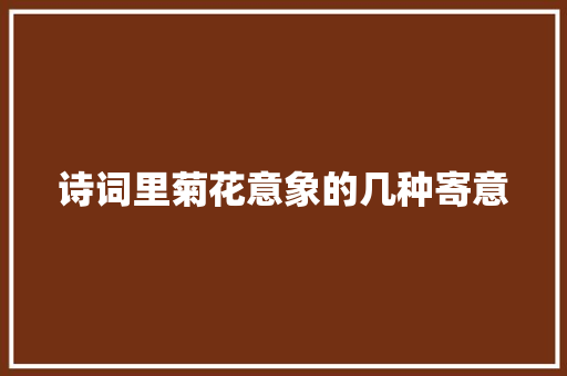 诗词里菊花意象的几种寄意