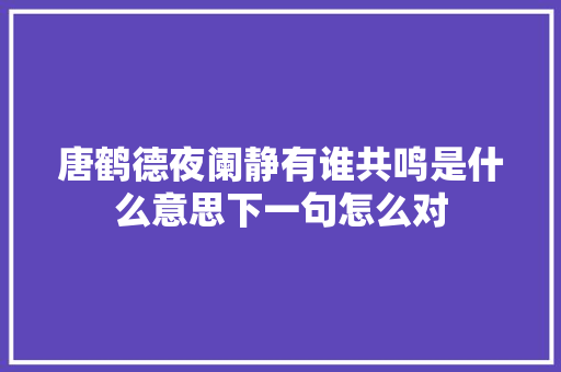 唐鹤德夜阑静有谁共鸣是什么意思下一句怎么对