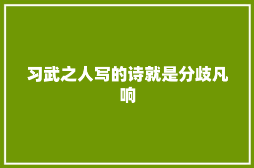 习武之人写的诗就是分歧凡响