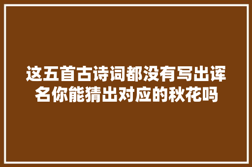 这五首古诗词都没有写出诨名你能猜出对应的秋花吗