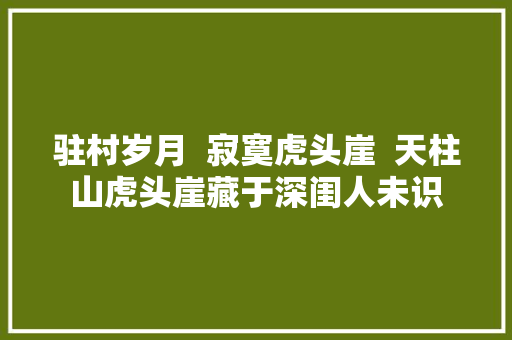 驻村岁月  寂寞虎头崖  天柱山虎头崖藏于深闺人未识