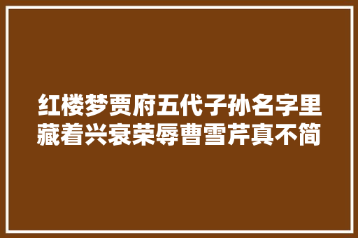 红楼梦贾府五代子孙名字里藏着兴衰荣辱曹雪芹真不简单