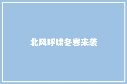 北风呼啸冬寒来袭