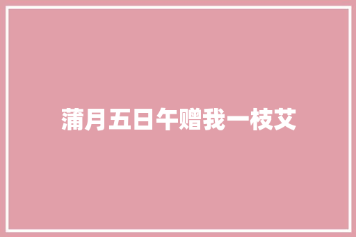 蒲月五日午赠我一枝艾