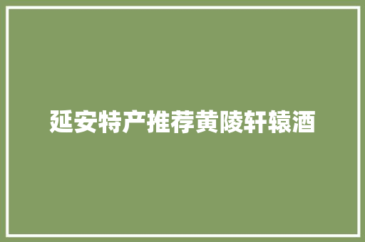 延安特产推荐黄陵轩辕酒