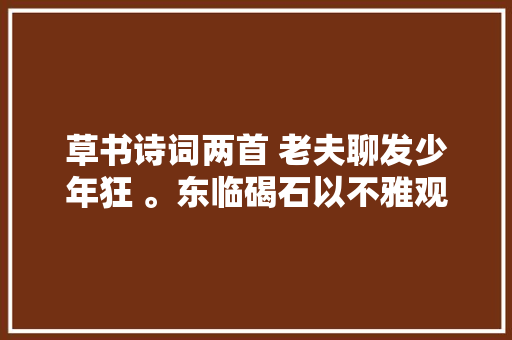 草书诗词两首 老夫聊发少年狂 。东临碣石以不雅观沧海。