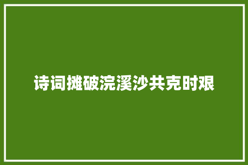 诗词摊破浣溪沙共克时艰