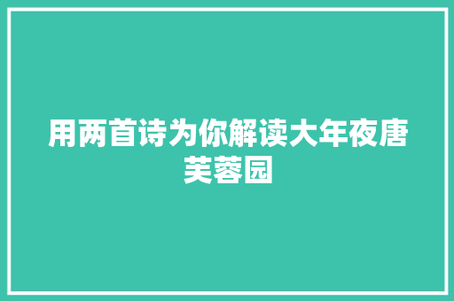 用两首诗为你解读大年夜唐芙蓉园
