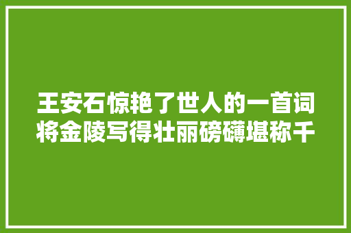 王安石惊艳了世人的一首词将金陵写得壮丽磅礴堪称千古绝唱