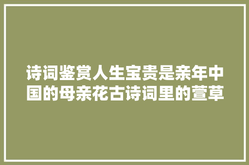 诗词鉴赏人生宝贵是亲年中国的母亲花古诗词里的萱草