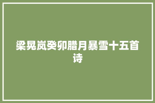 梁晃岚癸卯腊月暴雪十五首诗