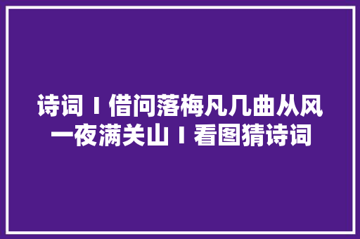 诗词Ⅰ借问落梅凡几曲从风一夜满关山Ⅰ看图猜诗词