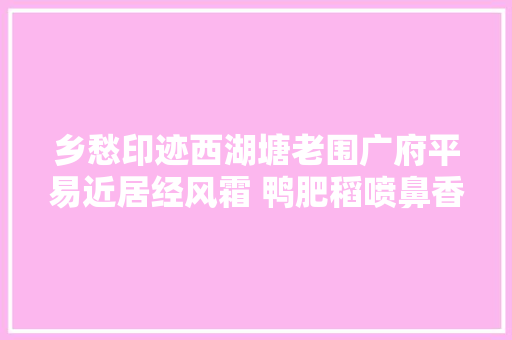 乡愁印迹西湖塘老围广府平易近居经风霜 鸭肥稻喷鼻香四百年