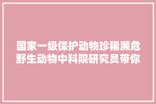 国家一级保护动物珍稀濒危野生动物中科院研究员带你理解绚丽多彩的绿孔雀→