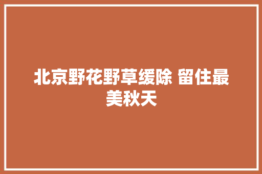 北京野花野草缓除 留住最美秋天