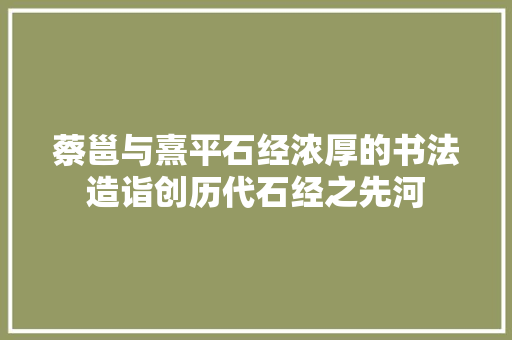 蔡邕与熹平石经浓厚的书法造诣创历代石经之先河