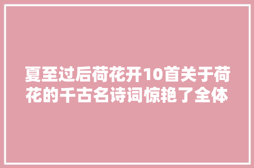 夏至过后荷花开10首关于荷花的千古名诗词惊艳了全体夏天