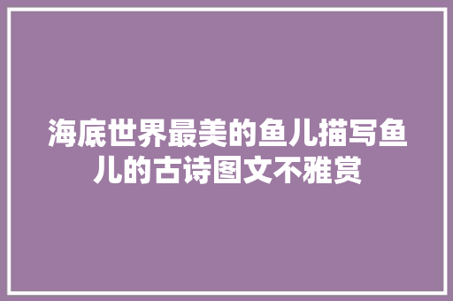 海底世界最美的鱼儿描写鱼儿的古诗图文不雅赏