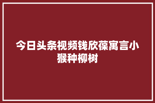 今日头条视频钱欣葆寓言小猴种柳树