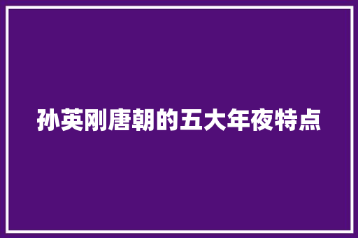 孙英刚唐朝的五大年夜特点