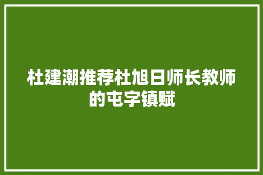 杜建潮推荐杜旭日师长教师的屯字镇赋