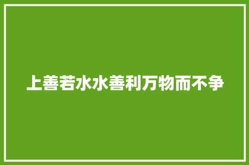 上善若水水善利万物而不争