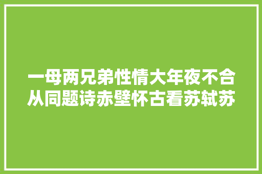 一母两兄弟性情大年夜不合从同题诗赤壁怀古看苏轼苏辙性格