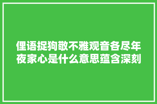 俚语捉狗敬不雅观音各尽年夜家心是什么意思蕴含深刻哲理