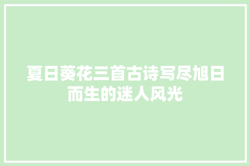 夏日葵花三首古诗写尽旭日而生的迷人风光