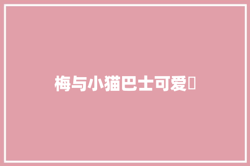 梅与小猫巴士可爱☺