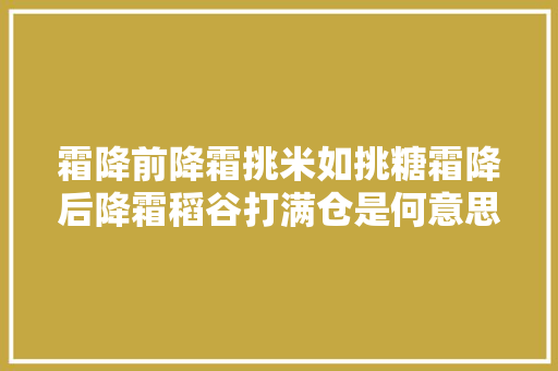 霜降前降霜挑米如挑糖霜降后降霜稻谷打满仓是何意思