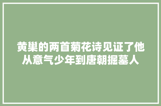 黄巢的两首菊花诗见证了他从意气少年到唐朝掘墓人