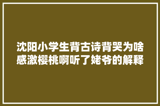 沈阳小学生背古诗背哭为啥感激樱桃啊听了姥爷的解释笑喷