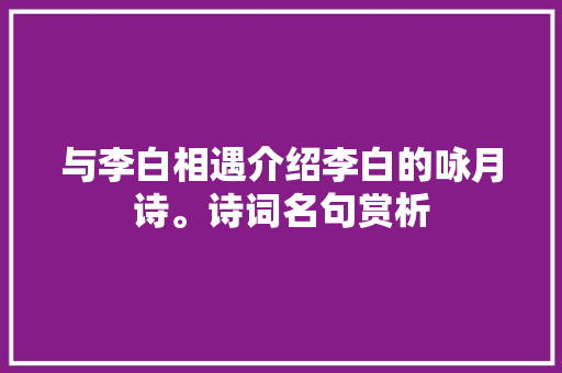 与李白相遇介绍李白的咏月诗。诗词名句赏析