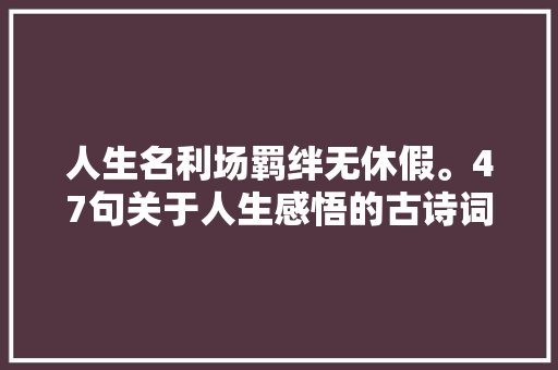 人生名利场羁绊无休假。47句关于人生感悟的古诗词专治焦炙